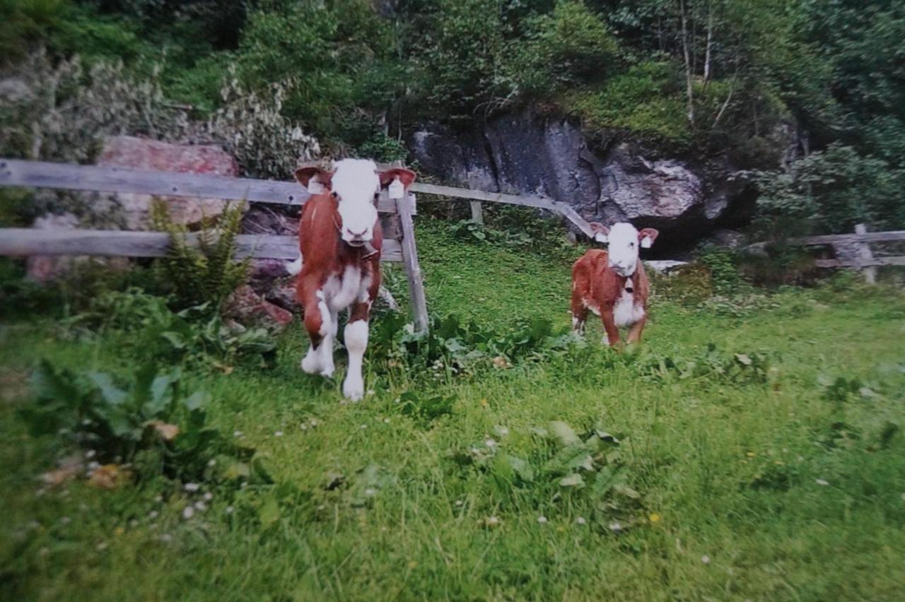 Krandlhof Lejlighed Zell am Ziller Eksteriør billede