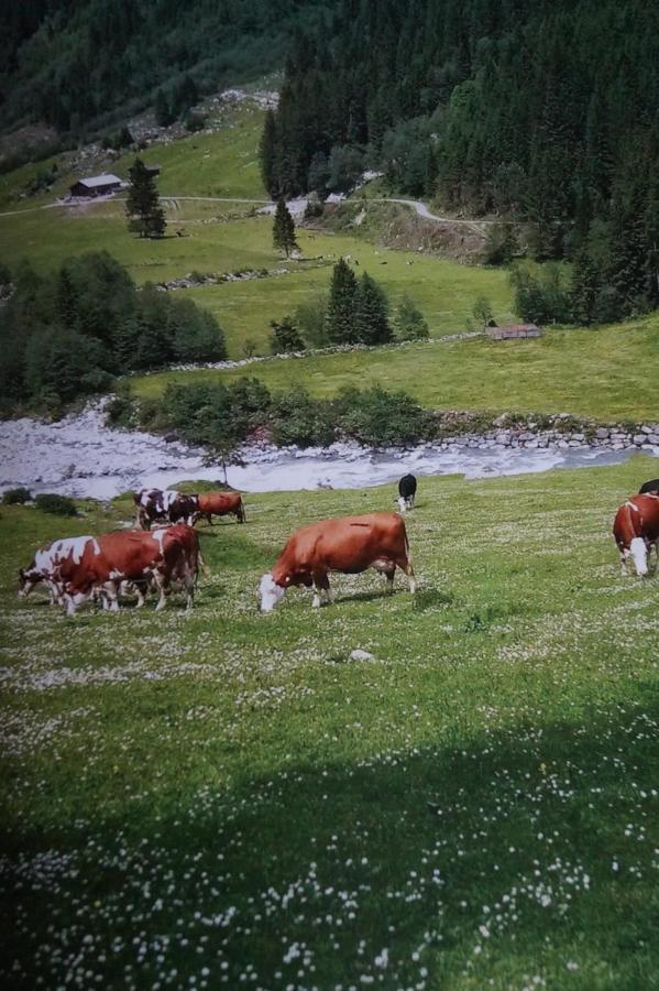 Krandlhof Lejlighed Zell am Ziller Eksteriør billede